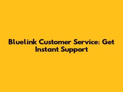 Bluelink Customer Service: Get Instant Support