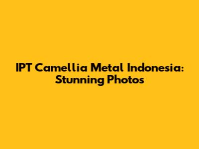 IPT Camellia Metal Indonesia: Stunning Photos