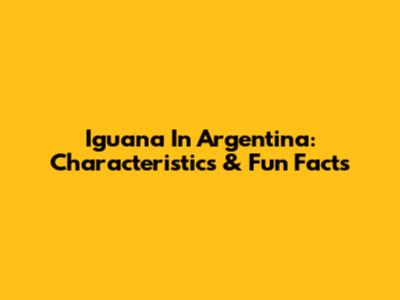 Iguana In Argentina: Characteristics & Fun Facts