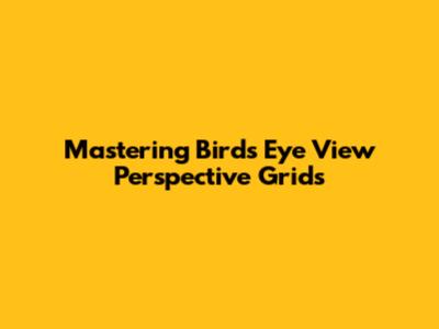 Mastering Bird's Eye View Perspective Grids