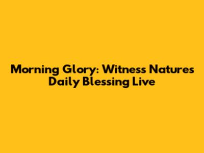Morning Glory: Witness Nature's Daily Blessing Live