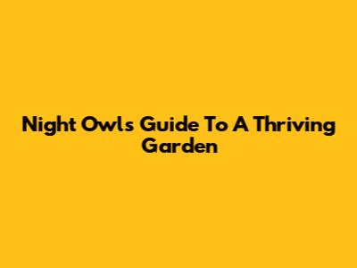 Night Owl's Guide To A Thriving Garden