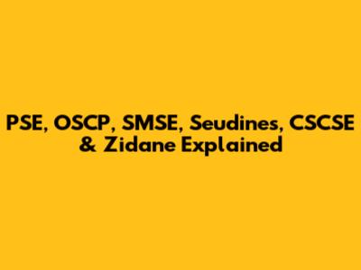 PSE, OSCP, SMSE, Seudines, CSCSE & Zidane Explained