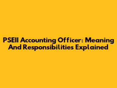 PSEII Accounting Officer: Meaning And Responsibilities Explained
