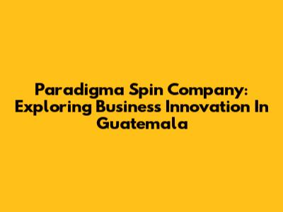 Paradigma Spin Company: Exploring Business Innovation In Guatemala