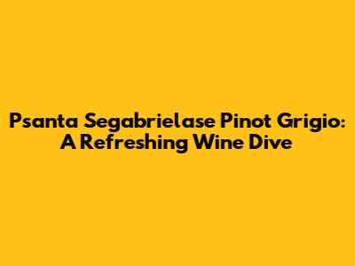 Psanta Segabrielase Pinot Grigio: A Refreshing Wine Dive