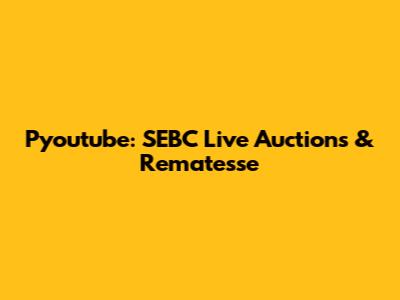 Pyoutube: SEBC Live Auctions & Rematesse