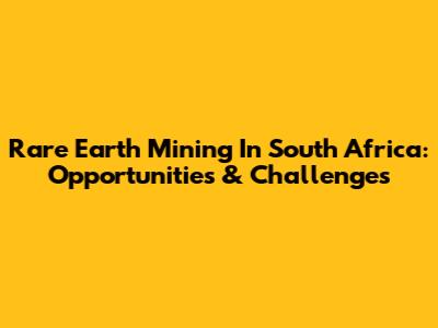 Rare Earth Mining In South Africa: Opportunities & Challenges