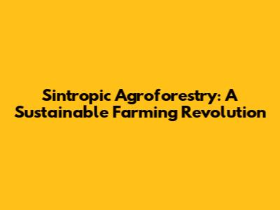 Sintropic Agroforestry: A Sustainable Farming Revolution